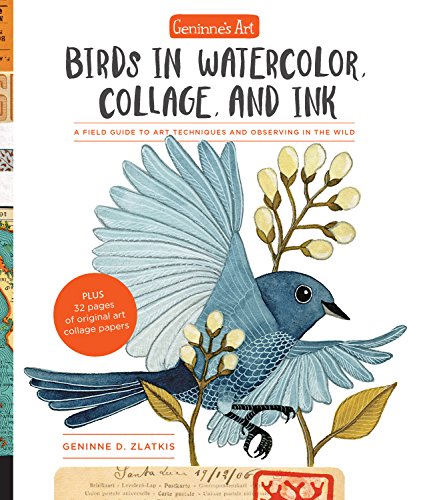 Geninne's Art: Birds in Watercolor. Collage. and Ink: A field guide to art techniques and observing in the wild