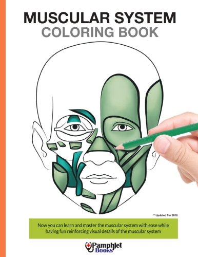 Muscular System Coloring Book: Now you can learn and master the muscular system with ease while having fun