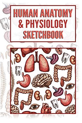 Human Anatomy & Physiology Sketchbook