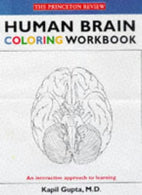HUMAN BRAIN COLORING