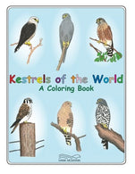 Kestrels of the World - A Coloring Book