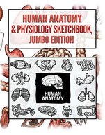 Human Anatomy Sketchbook. Jumbo Edition