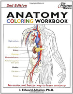 Anatomy Coloring Workbook. Second Edition (Bk. 2)