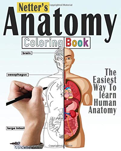 Netter's Anatomy Coloring Book: New Edition Anatomy Workbook To Learn And Discover Human Body