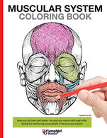 Muscular System Coloring Book: With colored illustrations like what you see on the back page