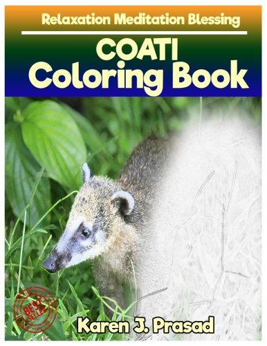 COATI  Coloring book for Adults Relaxation  Meditation Blessing: Sketch coloringbook  Grayscale Pictures