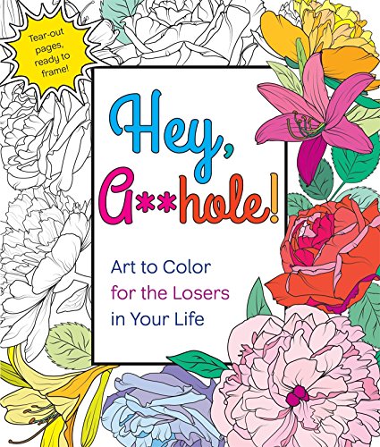 Hey. A**hole: Art to Color for the Losers in Your Life